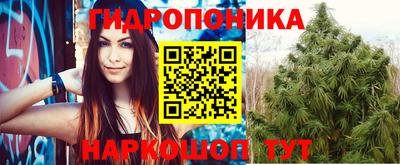 МДПВ Сланцы